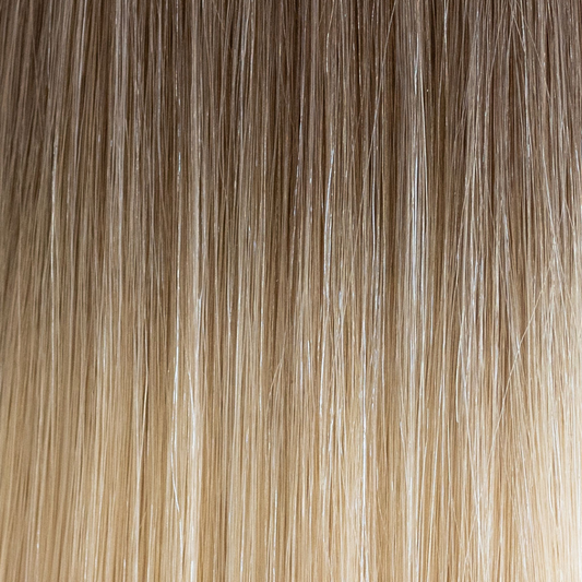 Laguna Beach (Rooted)